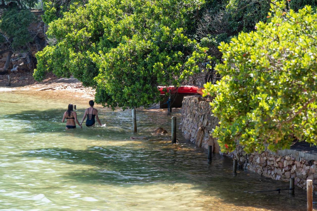 Under Milkwood Resort Knysna Eksteriør billede